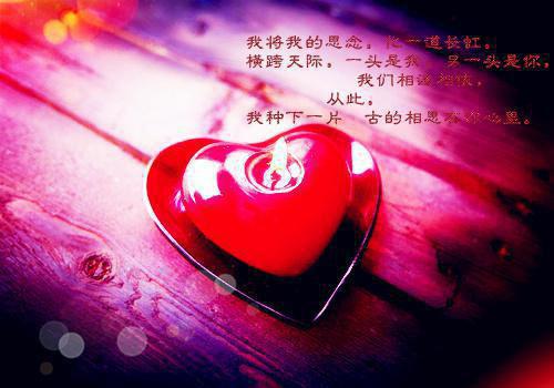 想念现代爱情诗精典