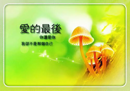 爱情不如意的古代诗句