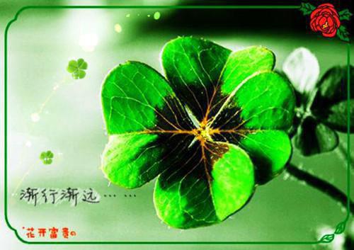 《西游记》优秀读后感