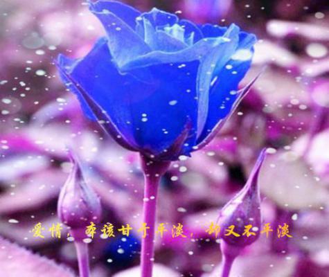 简洁的人生哲理语句摘录34句
