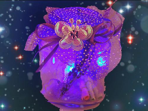 又是一年毕业季语录