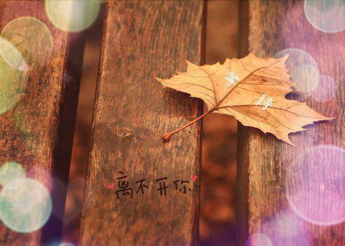 格林童話故事:井邊的牧鵝女