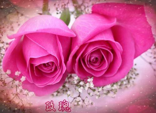 奶奶的星星电子书读后感（精选3篇）