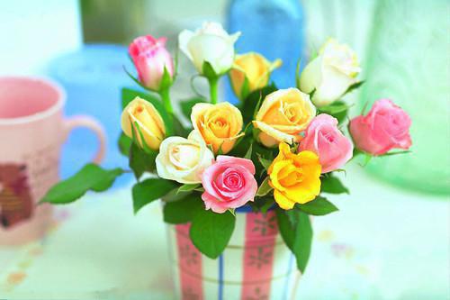 微信励志问候语